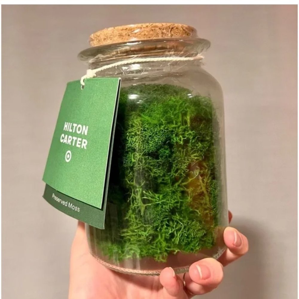 Target Hilton Carter Moss Jars